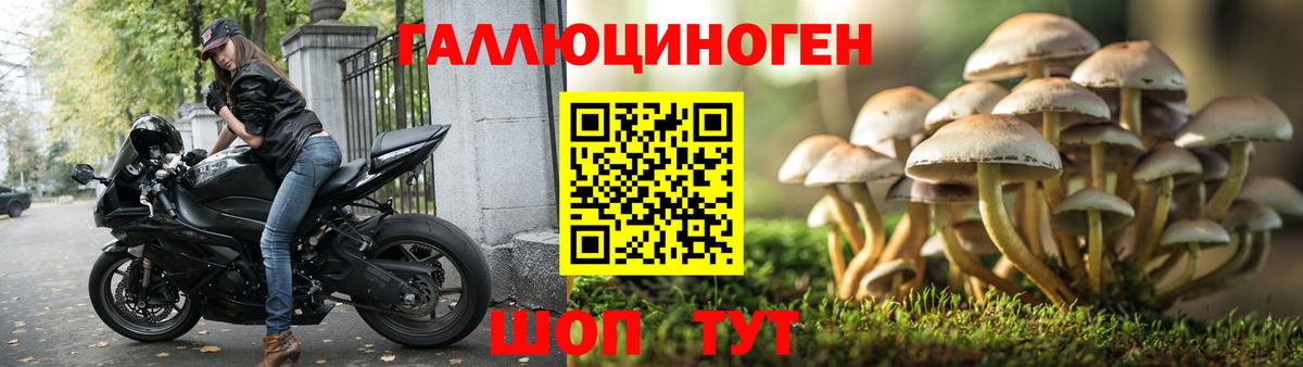 Ирбит  закладка  Вход с VPN  Псилоцибиновые грибы MAGIC MUSHROOMS  Псилоцибиновые грибы ЛСД 