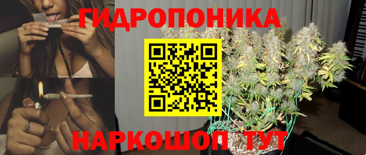 Каннабис семена  Вход с VPN  Бошки марихуана план  МАРИХУАНА марихуана  Ирбит 